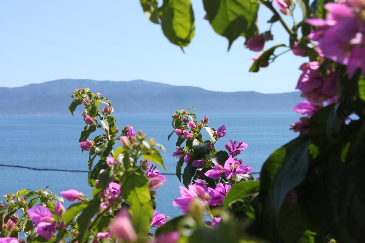 Apartments By The Sea Podaca, Makarska - 6745 Buitenkant foto